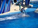 Sea World-182